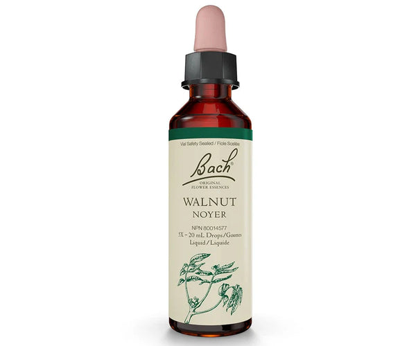 bach-walnut-20ml.jpg