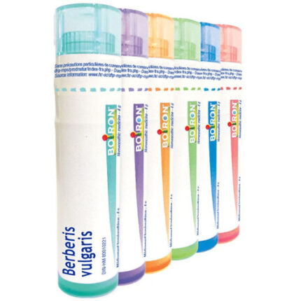 BOIRON BERBERIS VULGARIS 30CH 80pellets