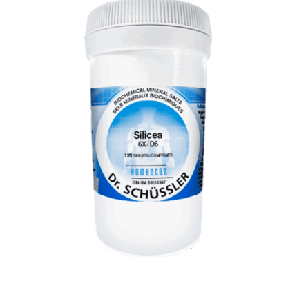 HOMEOCAN NO 12 SILICEA 6X 500TABS