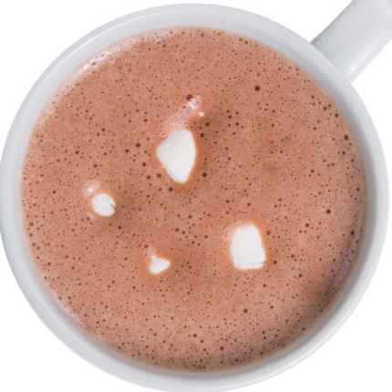 IDEAL PROTEIN S'MORES COCOA DRINK MIX - 1 PACK